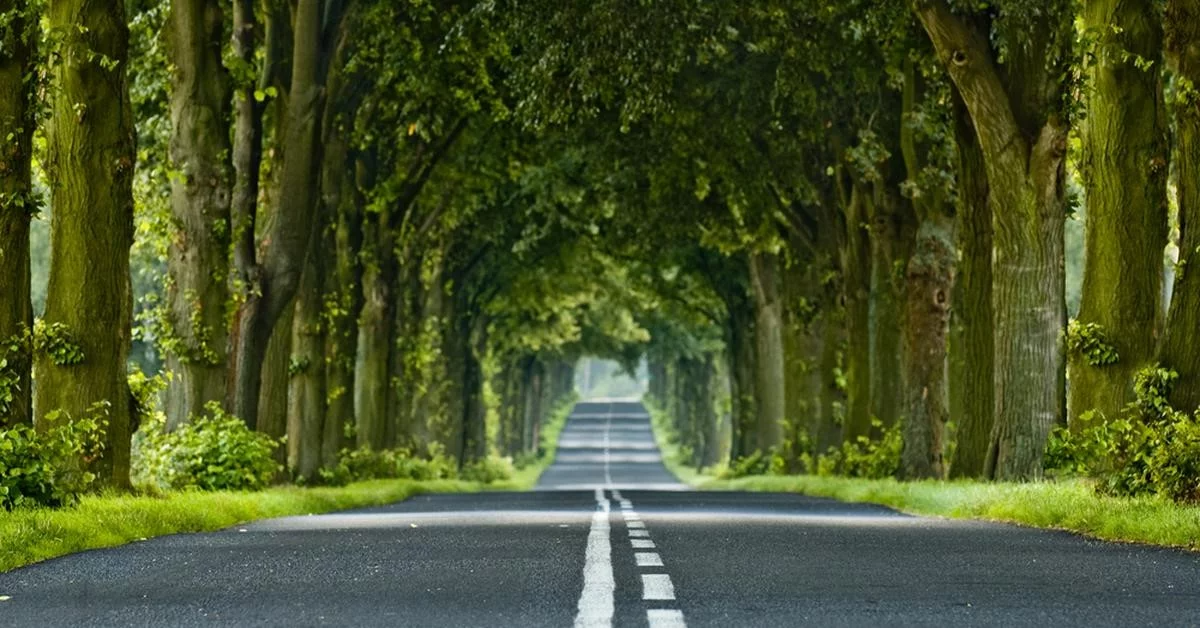 Najpiękniejsze trasy motocyklowe w Polsce 3